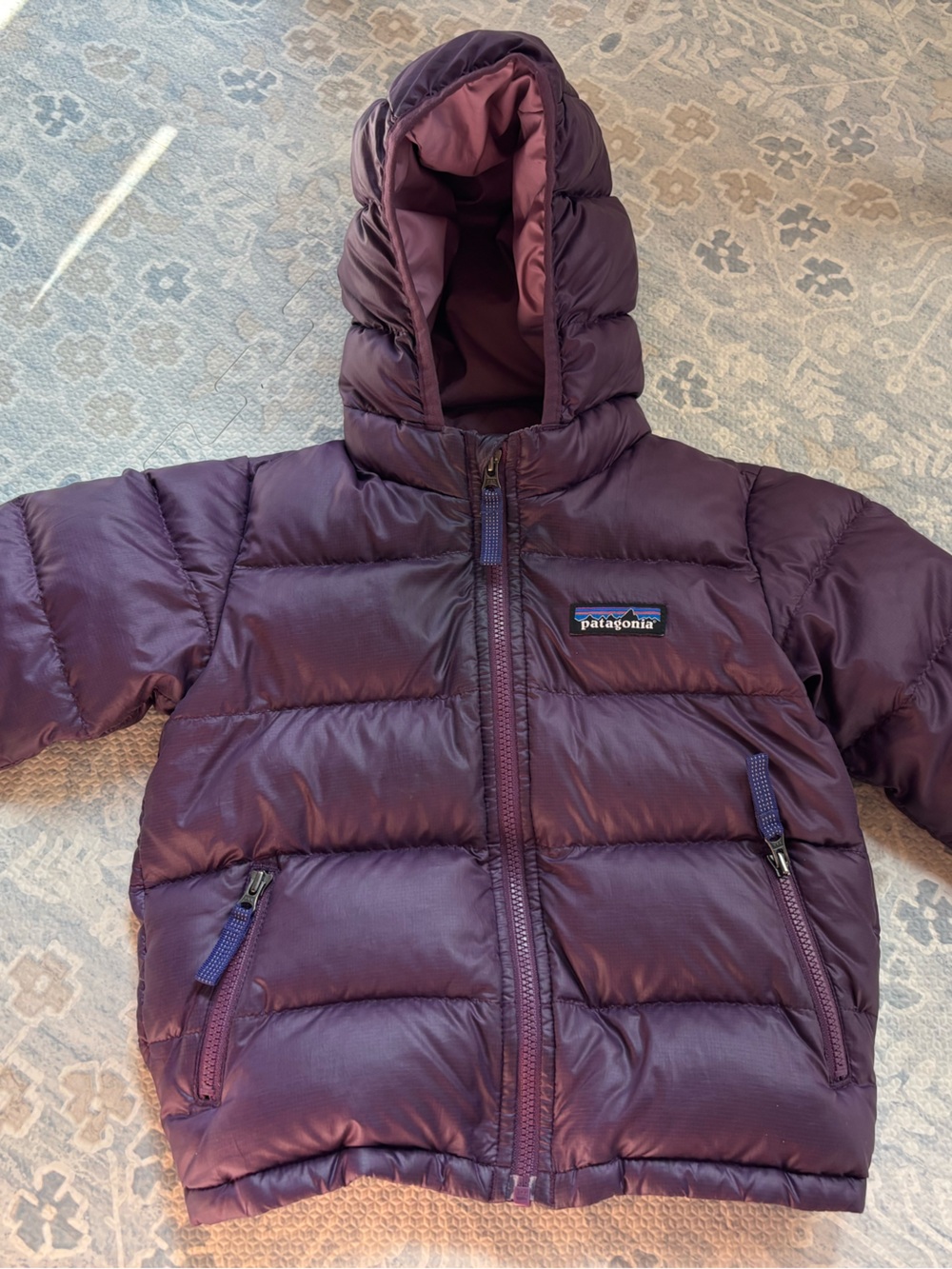 Patagonia Hi-Loft Coat